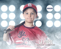 4U_Foal_Cardinals_Gamblin_Palmer_LP022820_LIT