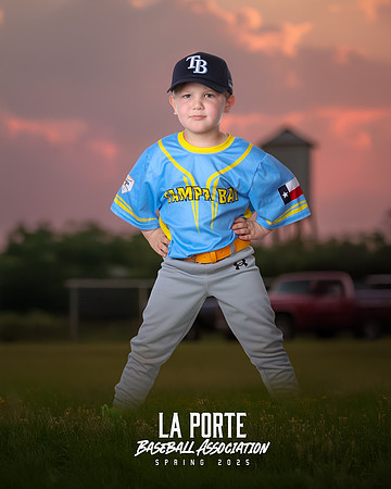 4U_Foal_Rays_OMalley_Atticus_LP010629_TRUCK