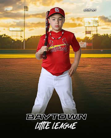 M3_ Cardinals_West_Ryan_BAY28025_SUNSHINE