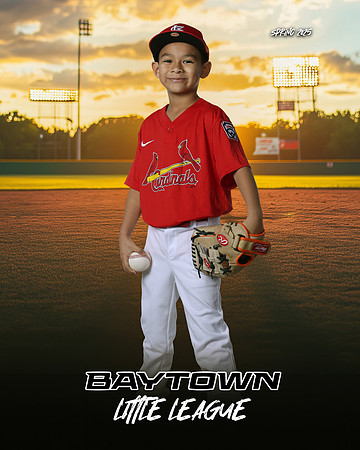 M3_ Cardinals_Camargo_Narsiso_BAY27983_SUNSHINE