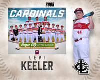 AAA.Lutz.Cardinals_Keeler_Levi_143A0924_MM