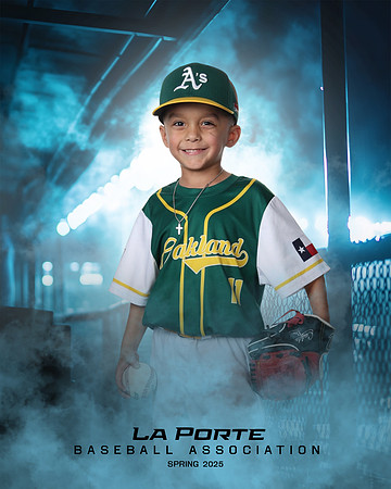 4U_Foal_Athletics_Gallardo_Orion_LP010669_DUGOUT