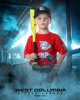 TB IRON PIGS_Shands_Slate_WC010118_DUGOUT_