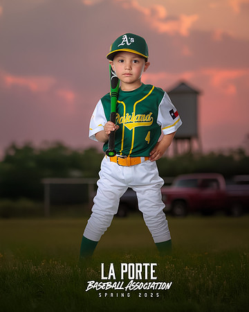 4U_Foal_Athletics_Alanis_Luka_LP010717_TRUCK