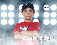JR MINOR WOODPECKERS_Rios JR_Carlos_WC010999_LIT_