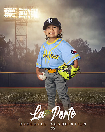 4U_Foal_Rays_Montez_Jiro_LP010585_FIELDLIGHTS