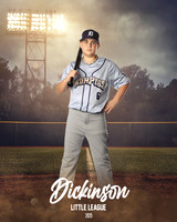 MINORS_IRONPIGS_Callaway_Jameson_DLL12762_FIELD LIGHTS_