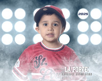4U_Foal_Cardinals_Chavez_Zed_LP022527_LIT