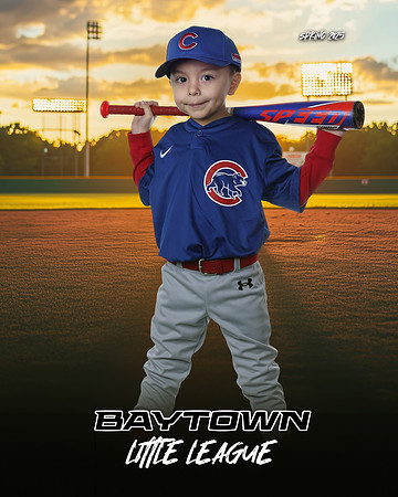 M3_ Cubs_Arana Mendoza_NOAH_BAY12261_SUNSHINE