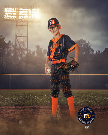 10U PAONE_STRINGFELLOW_WESTIN_SF_27160_FIELDLIGHTS