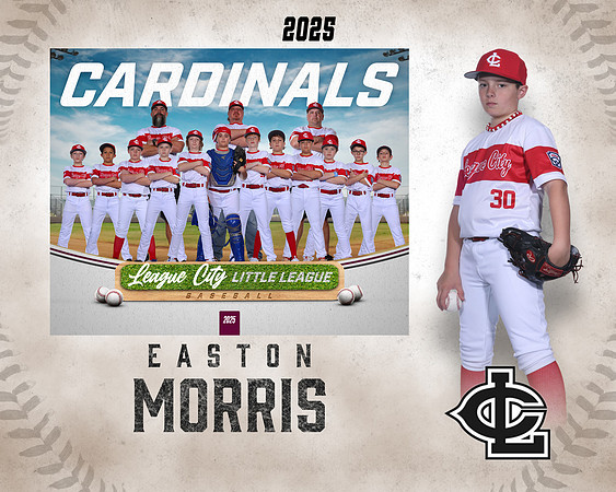 MJR.Powell.Cardinals_Morris_Easton_143A1843_MM