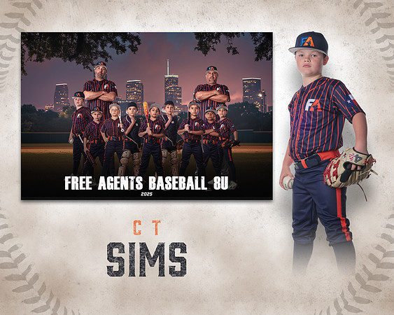 8U_SIMS_CT_IMGL4746_PASTTIME