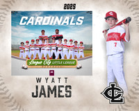 A.Crenshaw.Cardinals_James_Wyatt_IMG_1532_MM_MM