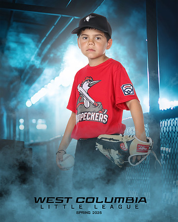 JR MINOR WOODPECKERS_Solis_Slayton_WC010978_DUGOUT_