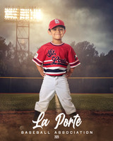 4U_Foal_Cardinals_Gonzalez_Alec_LP022613_FIELDLIGHTS