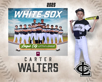 AAA.Bales.WhiteSox_Walters_Carter_143A1141_MM_MM