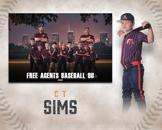 8U_SIMS_CT_IMGL4741_PASTTIME