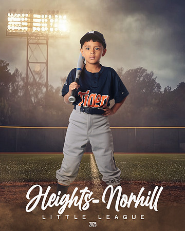 TB_TIGERS_Hernandez_Mason_HN020924_FIELDLIGHTS
