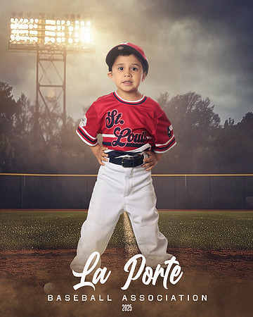 4U_Foal_Cardinals_Chavez_Zed_LP022527_FIELDLIGHTS