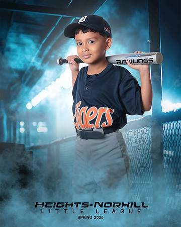 TB_TIGERS_Hernandez_Mason_HN020925_DUGOUT