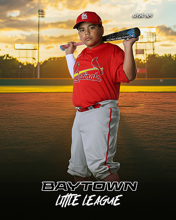 MJR_Cardinals_Guerrero_Damian_BAY29719_SUNSHINE