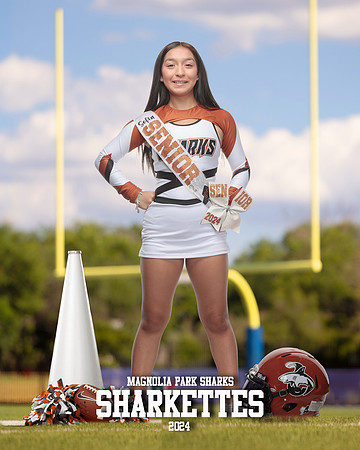 CHEER_Trevino-Gomez_Sofia_IMGL1414_GOAL POST_