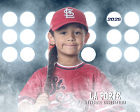 4U_Foal_Cardinals_Gonzalez_Alec_LP022616_LIT