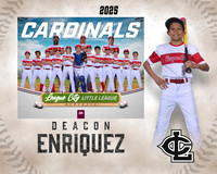 MJR.Powell.Cardinals_Enriquez_Deacon_143A1779_MM