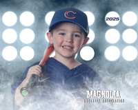 4_5U_Cubs_Reynolds_Walker_MAG26543_LIT