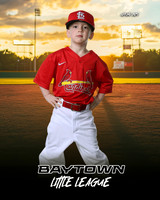 M3_ Cardinals_Bain_Rhett_BAY27993_SUNSHINE