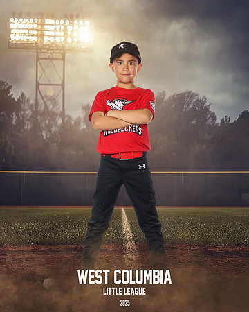 JR MINOR WOODPECKERS_Rios JR_Carlos_WC011000_FIELD LIGHTS_