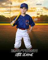 TB_ Cubs_Figueroa_Mason_BAY29778_SUNSHINE
