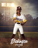 CP8_BOBCATS_Thomas_Jaxon_DLL12324_FIELD LIGHTS_