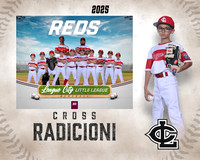 AA.Birkensehr.Reds_Radicioni_Cross_143A0032-2_MM_MM