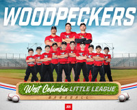 JR MINOR WOODPECKERS_Jenkins_Carter