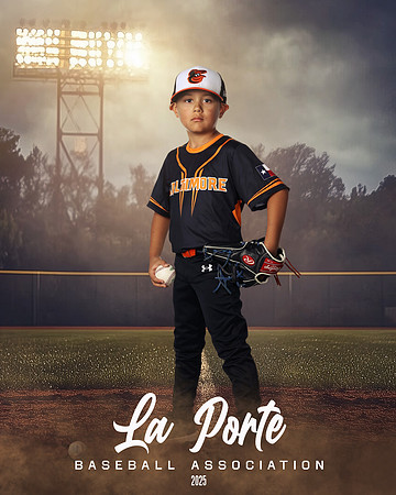6U_Shetland_Orioles_Dardon_Carlos_LP011330_FIELDLIGHTS