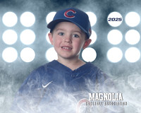 4_5U_Cubs_Reynolds_Walker_MAG26541_LIT