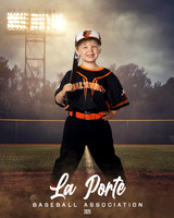 4U_Foal_Orioles_Jarvis_Ryder_LP010395_FIELDLIGHTS