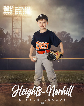 PW_TIGERS_Dees_Archer_HN010102_FIELDLIGHTS