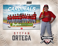 MJR_Cardinals_Ortega_Stefan_BAY29955_MM