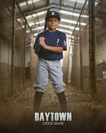 M1_Tigers_Rodriguez_Bryce_IMGL9970_CAGE_