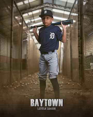 M1_Tigers_Rodriguez_Bryce_IMGL9973_CAGE_