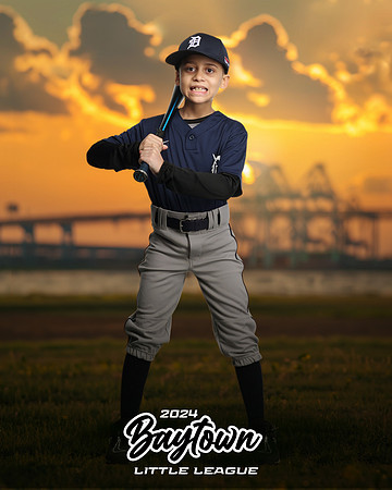 M1_Tigers_Martinez_Dayron_IMGL9981_THE BRIDGE_