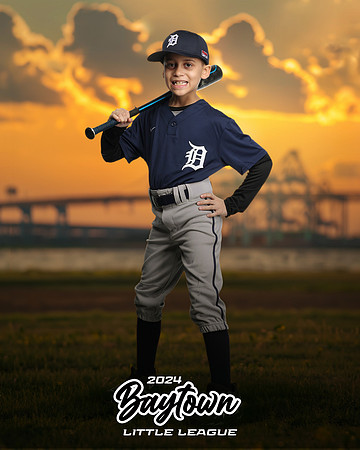 M1_Tigers_Martinez_Dayron_IMGL9982_THE BRIDGE_