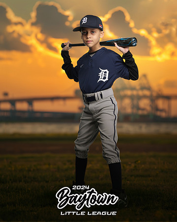 M1_Tigers_Martinez_Dayron_IMGL9984_THE BRIDGE_