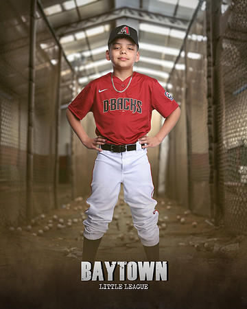M1_Diamondbacks_Mujica_Edgard_IMGL1053_CAGE_