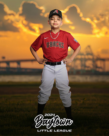 M1_Diamondbacks_Mujica_Edgard_IMGL1053_THE BRIDGE_