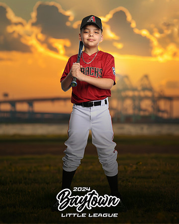 M1_Diamondbacks_Mujica_Edgard_IMGL1054_THE BRIDGE_