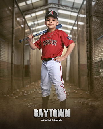 M1_Diamondbacks_Mujica_Edgard_IMGL1055_CAGE_