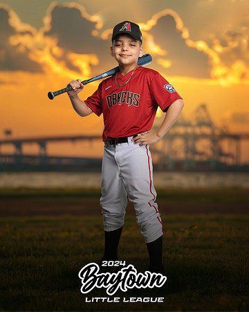 M1_Diamondbacks_Mujica_Edgard_IMGL1055_THE BRIDGE_